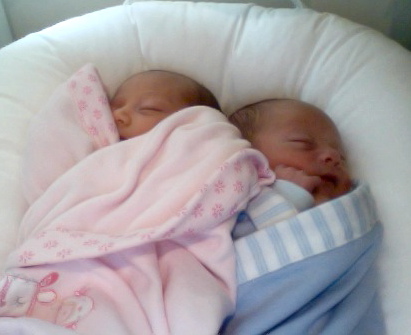 Placenta After Birth