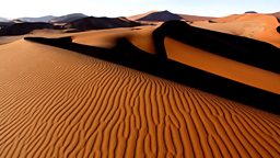 Planet Earth Bbc Online