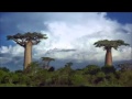 Planet Earth Bbc Trailer