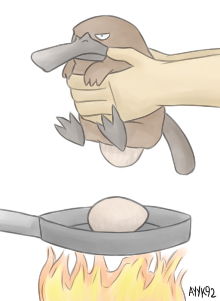 Platypus Eggs