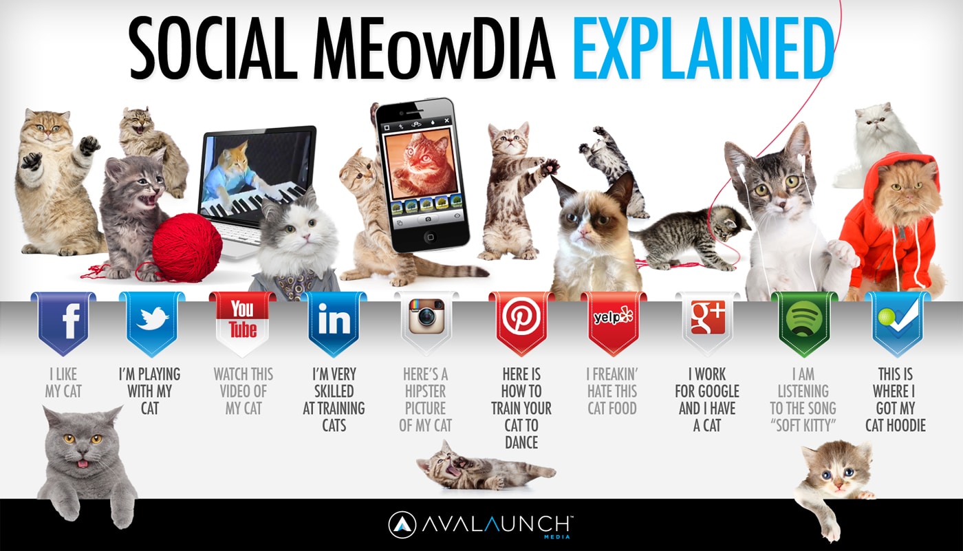 Popular Social Media Sites