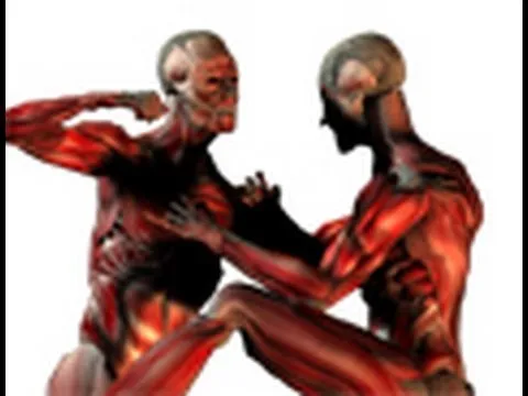 Pressure Points On The Body For Fighting