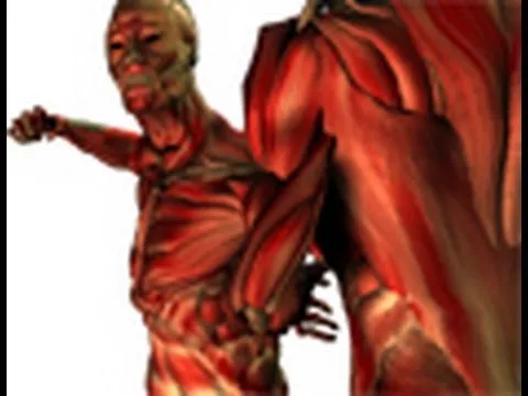 Pressure Points On The Body For Fighting