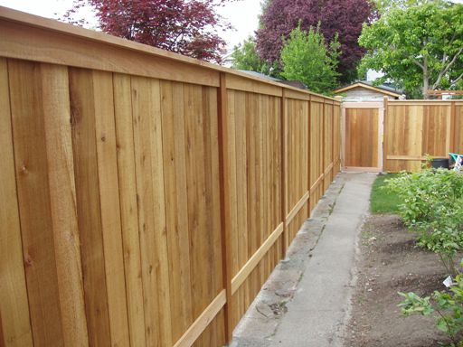 Privacy Fence Cost
