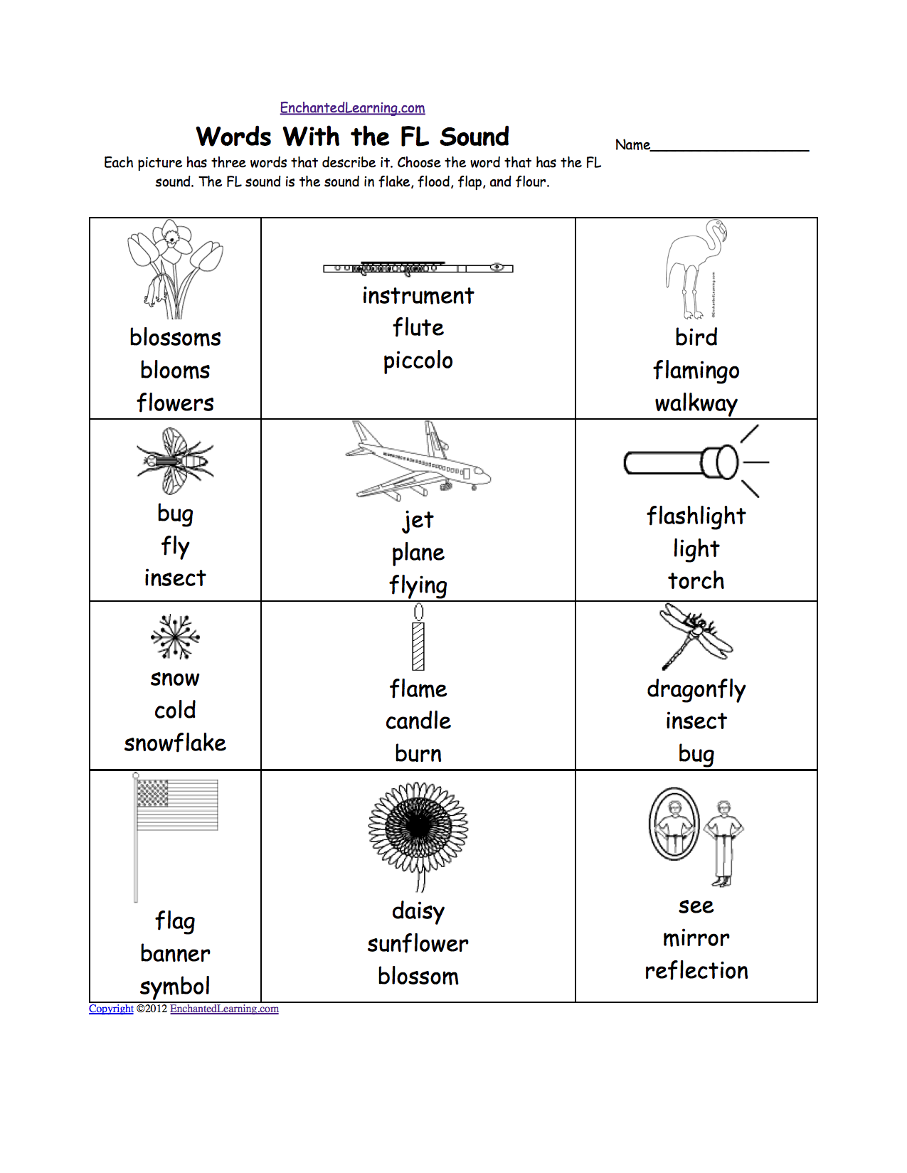 Products From The Rainforest Worksheet