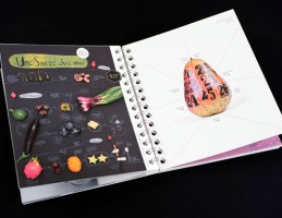 Publication Design Book