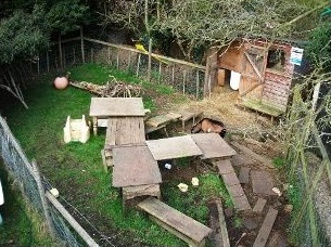 Pygmy Goats Care And Feeding