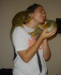 Pygmy Marmoset Pet For Sale