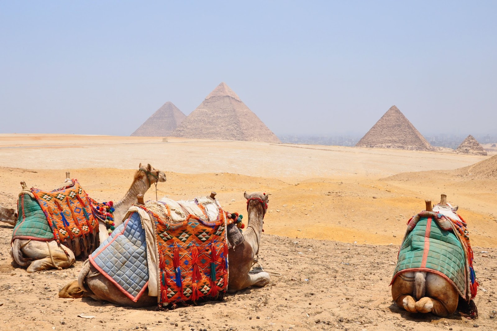 Pyramids Of Giza Egypt Facts