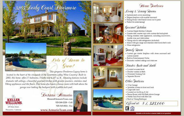 Real Estate Agent Flyers