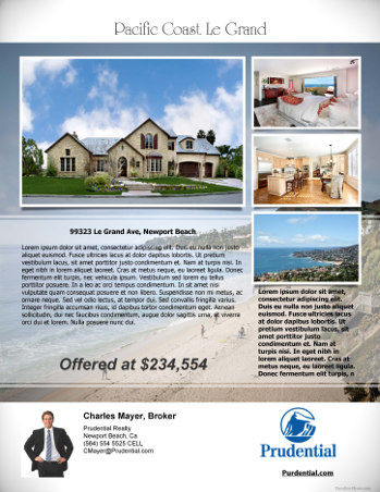 Real Estate Agent Flyers