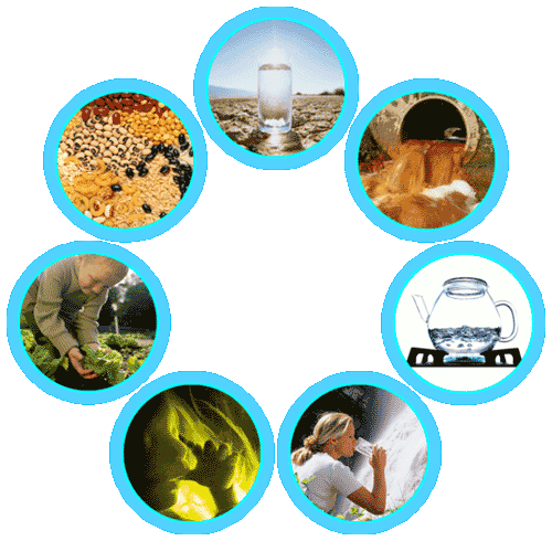 Resources Of Water Pollution