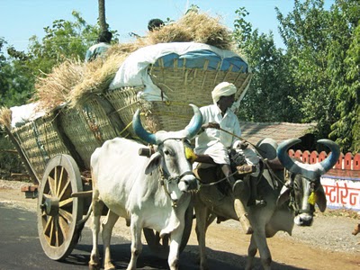 Rural Transportation In India