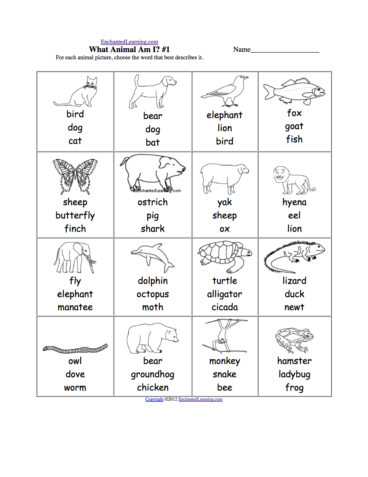 Sea Animals Pictures With Names