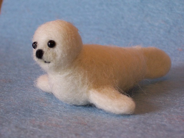 Sea Lion Baby