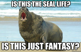 Sea Lion Meme
