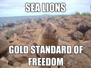 Sea Lion Meme