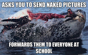 Sea Lion Meme