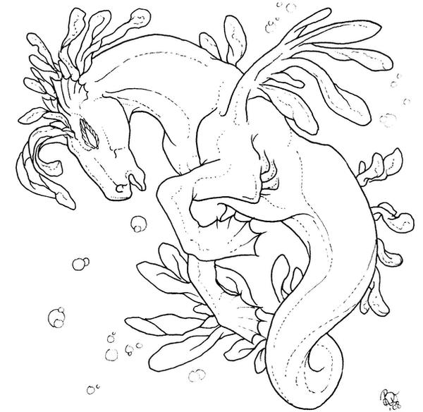 Seahorse Outline Picture