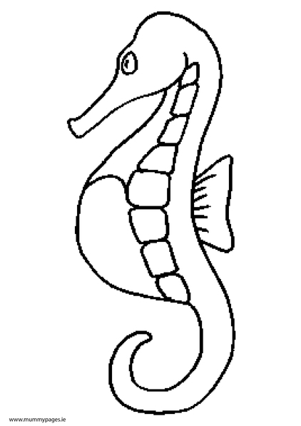 Seahorse Pictures To Colour