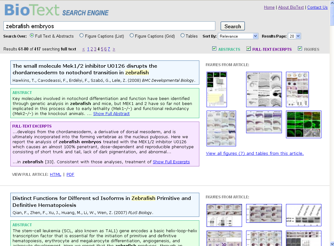 Search Results Ui Design