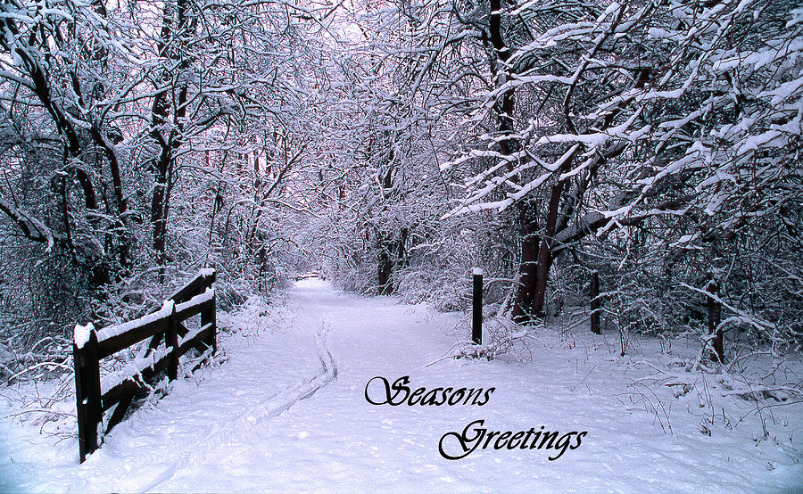 Seasons Greetings