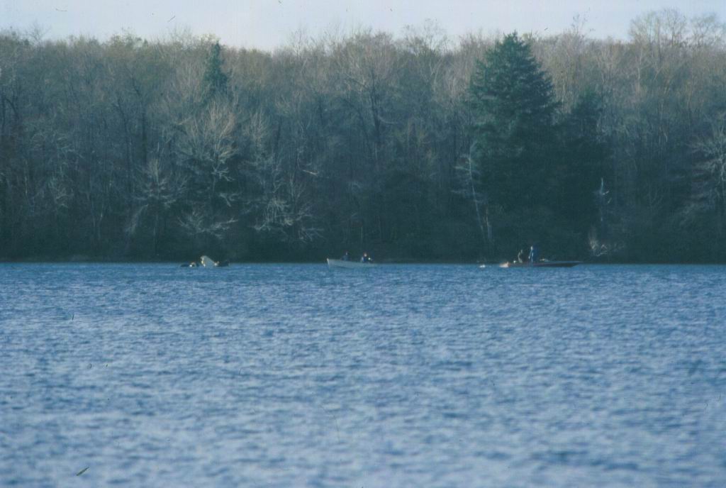 Small Plane Crash In Water