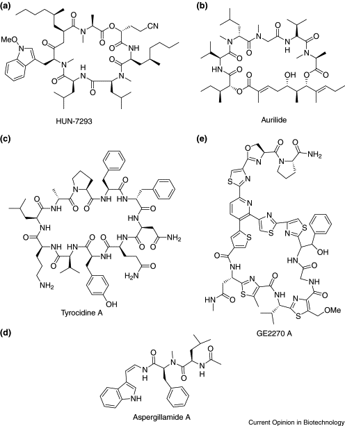 Solutions Chemistry Examples