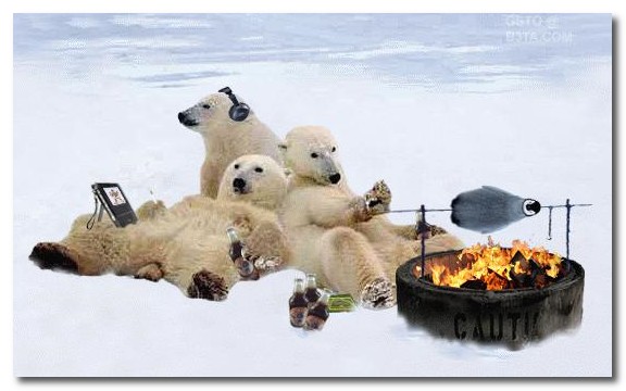 Solutions To Global Warming For Kids
