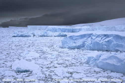 Solutions To Global Warming In The Arctic
