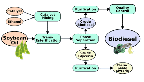 Soybean Feedstock Biodiesel Production