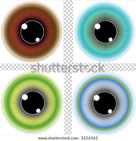 Splash Contact Lenses Colors