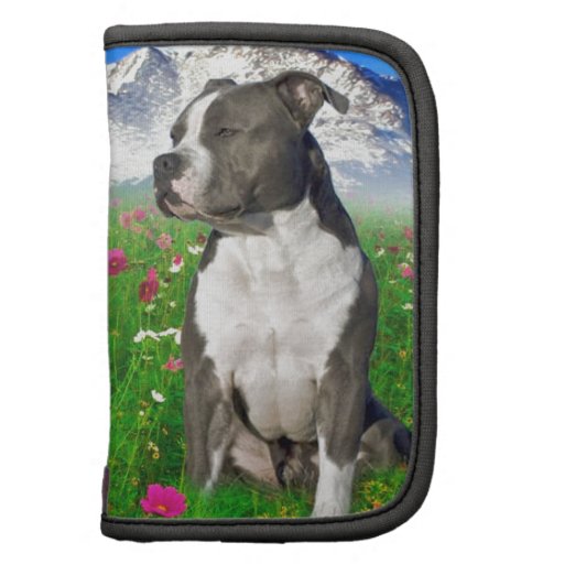 Staffordshire Pitbull Brindle