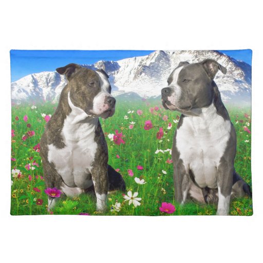 Staffordshire Pitbull Brindle