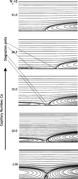 Streamline Flow Is More Likely For Liquids With