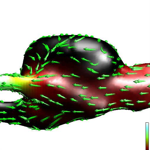 Streamline Flow Visualization