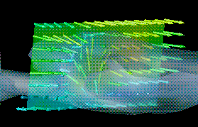 Streamline Flow Visualization
