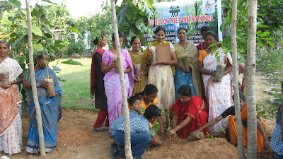 Teachers Day Celebration In Schools