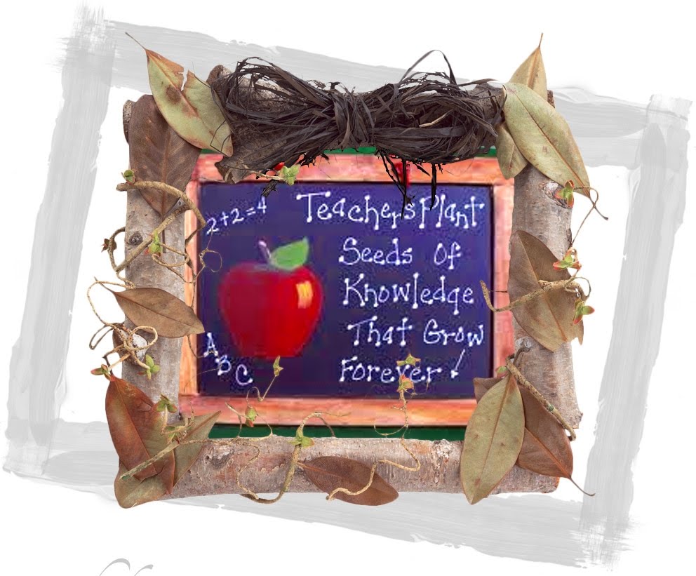 Teachers Quotes From Students