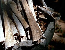 The Killing Fields 1984 Free Download