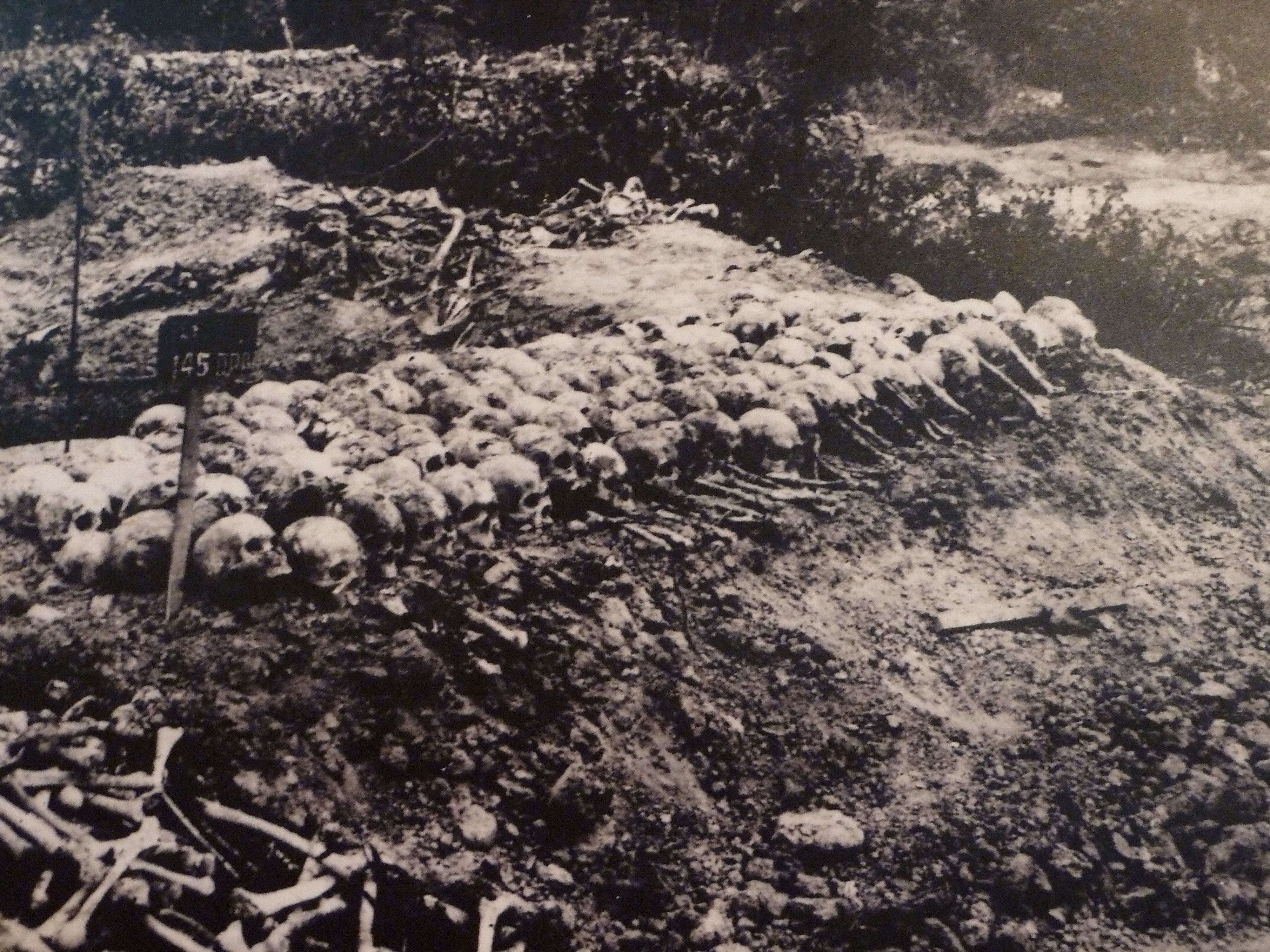 The Killing Fields
