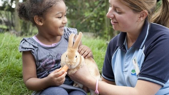 Things To Do In London This Weekend For Kids