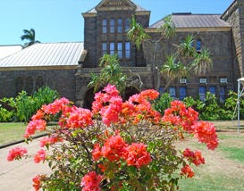 Top 10 Things To Do In Hawaii With Kids