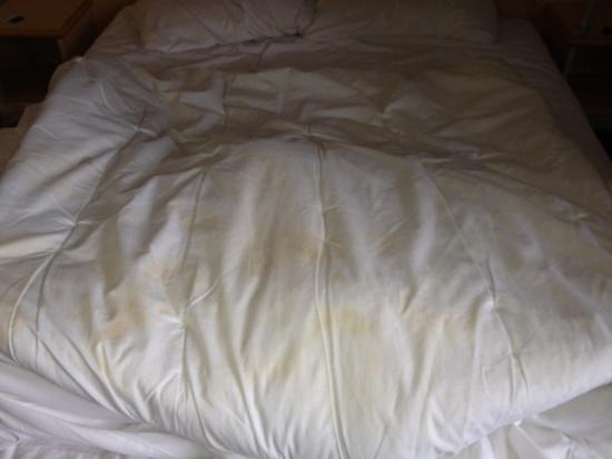 Travelodge Manchester Central Arena Number