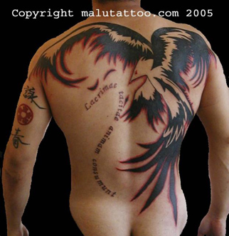 Tribal Phoenix Tattoo Images
