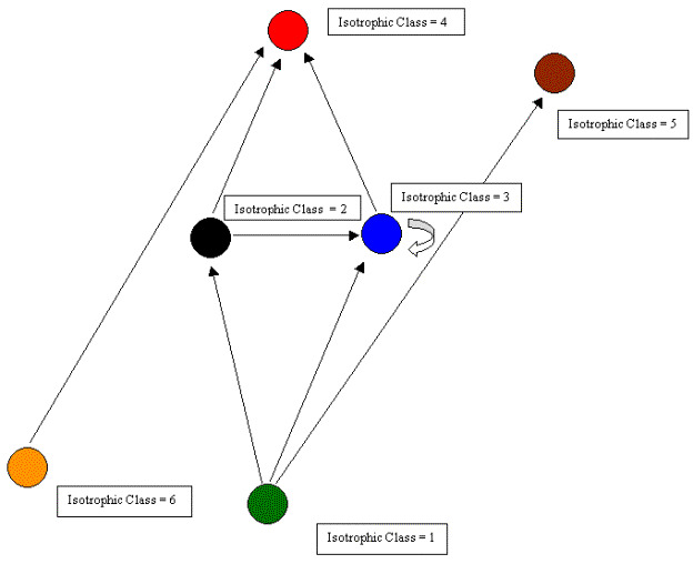 Tropical Rainforest Food Web Diagram Pictures