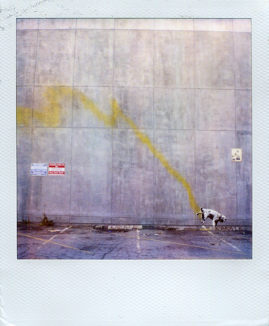 Using Expired Film Polaroid