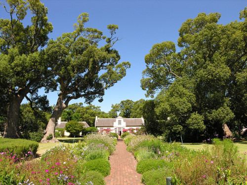 Vergelegen Estate South Africa