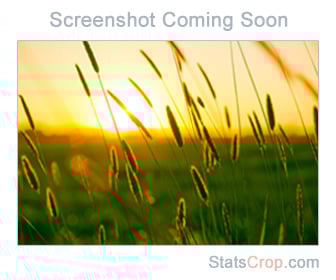 Videosongs4u Free Download
