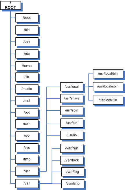 Website Directory Structure